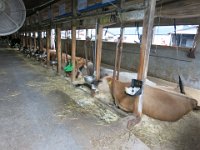 IMG 0627