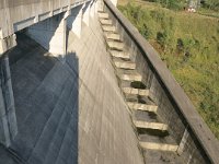 IMG 0661