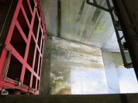 IMG 0667