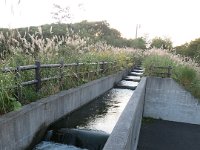 IMG 0680