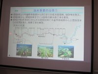 IMG 0754