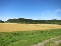 IMG 0779
