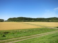IMG 0780
