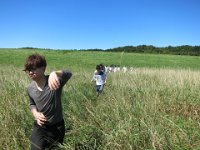 IMG 0784