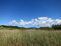 IMG 0797