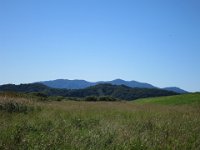 IMG 0799