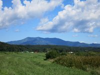 IMG 0801