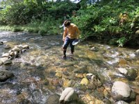 IMG 0811