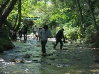 IMG 0817