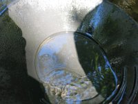 IMG 0823