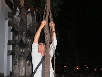 IMG 0252