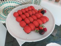 IMG 0280