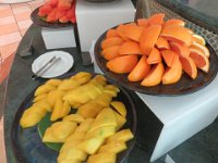 IMG 0283