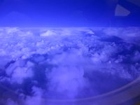 IMG 0312