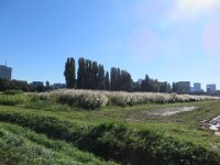IMG 0457