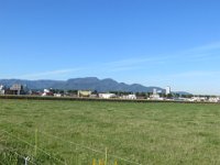 IMG 0460
