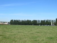 IMG 0462