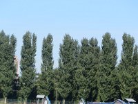IMG 0463