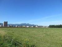 IMG 0464