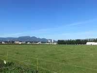IMG 0469