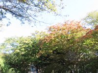 IMG 0478