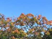 IMG 0481