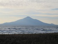 IMG 0015