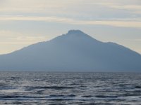 IMG 0016
