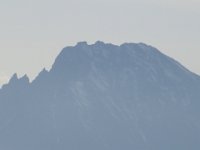 IMG 0017