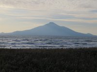 IMG 0019