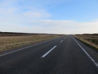IMG 0020