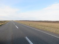IMG 0021