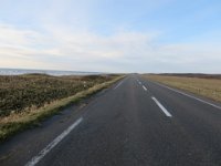 IMG 0022
