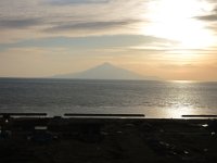 IMG 0284