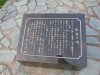 IMG 0296