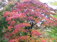 IMG 0023