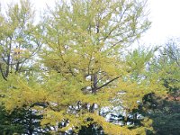 IMG 0025