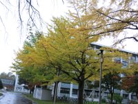 IMG 0028