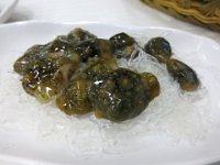 IMG 0540