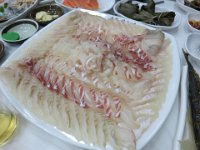 IMG 0550