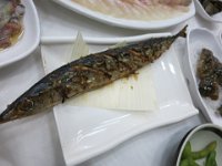 IMG 0551