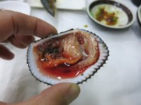 IMG 0555