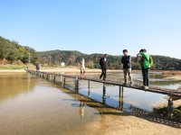 IMG 0407