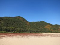 IMG 0425