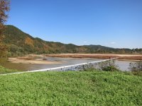 IMG 0433