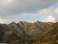 IMG 0510