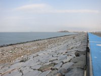 IMG 0572