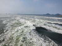 IMG 0608