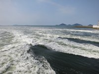 IMG 0611