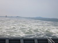 IMG 0613